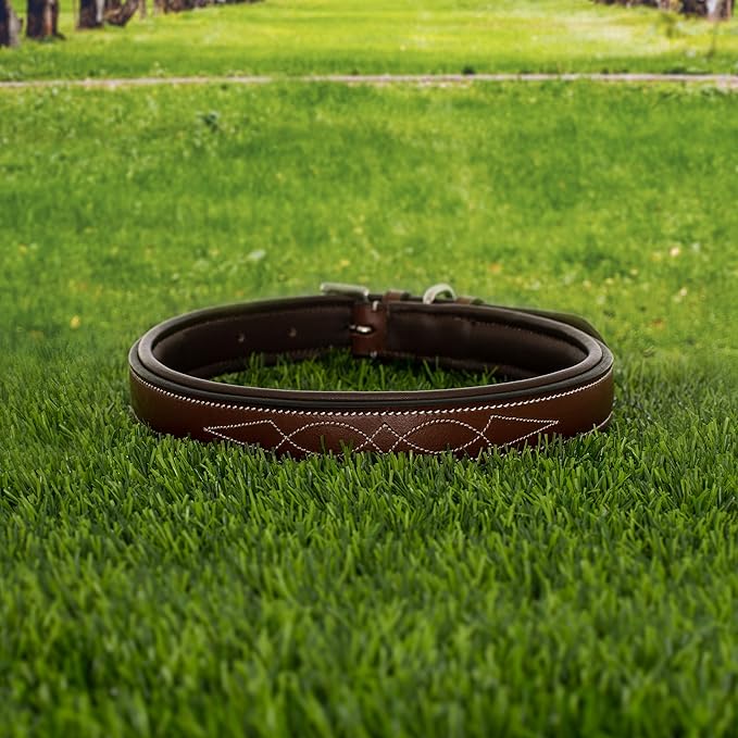 Exion Heavy Duty Dog Collar Designer Stitched Soft Leather Padded- Suitable for Small Medium Large X-Large Dogs for Walking Running Training- Black with Oak Brown Padding