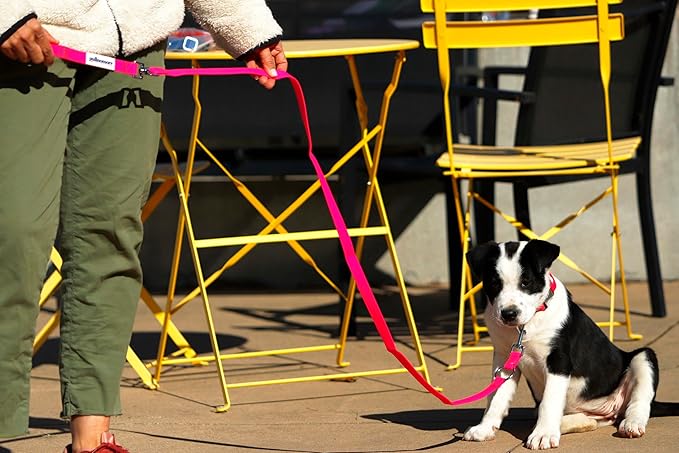 No-Pull Dog Leash, Chew Resistant, Waterproof, Durable PVC Material, Multiple Sizes and Colors (Pink, Small)