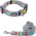 Lucky Love Dog, Adjustable Fun Style Collar and Leash Set for Dogs, Bright Color Matching Dog Collar and Leash - (Large, SOCO Combo)