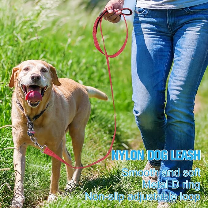 Vicenpal 12 Pcs Double Sided Reflective Dog Leash with Soft Padded Handle, Bulk Nylon Animal Leashes for Medium and Large Dogs Heavy Duty Animal Leash for Walking, Training, 6 Colors(6 ft,Cute Colors)