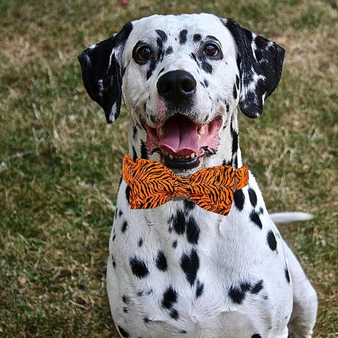 Elegant little tail Dog Collar, Tiger Print Pet Collar Fashion Boy Dog Collars Durable Metal Buckle Dog Collars Cotton Pet Adjustable Dog Collars for Medium Dogs