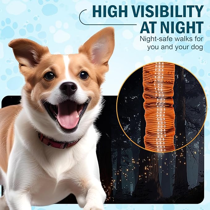 Hands Free Dog Leash for 2 Dogs – Waist Leash for Dog Walking with Dual Bungee, Reflective No Pull Design, Adjustable Belt & Pouch for Running, Hiking, Jogging