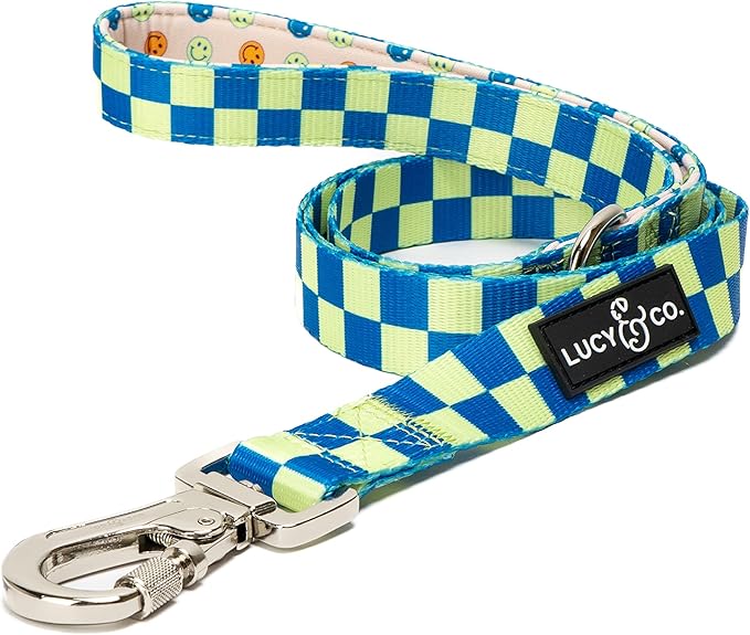 Lucy & Co. Designer Dog Leash - Pet Accessories - Thick Dog Leash - Padded Handle for Comfort - Purple with Green Floral - 5 Foot (Lime Green Blue Checker, Large)