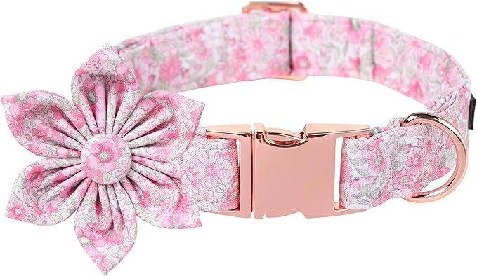 Lionet Paws Design Dogs Collar Cute Adjustable Flower Dog Collars for Girl Female Medium Large Dogs with Spring Floral XL