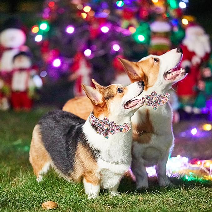 Elegant Little Tail Dog Collar with Flower, Christmas Dog Collar for Small Dogs