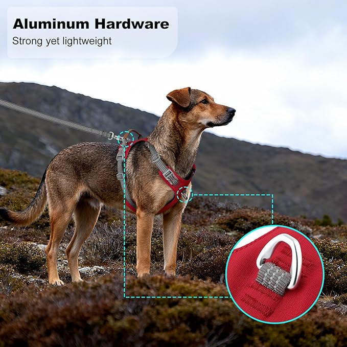 No Pull Dog Harness – Adjustable Reflective Nylon Vest for Small Medium Large Dogs, Escape Proof Training Harness with Leather Control Handle, Lightweight Aluminum Hardware (Red, M)