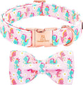 Lionheart glory Dog Bow Collar Dinosaurs Pattern Cute Collars for Large Dogs,Soft Duty Adjustable Dog Collar with Bowtie Spring Summer Puppy Collars Bows Pet Gift