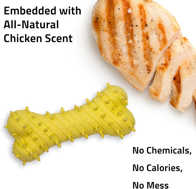 Playology Dog Toys | Puppy Toy Teething Bone Designed for Young & Active Dogs | Jumbo Chicken Scented Toy Made from Non Toxic Materials