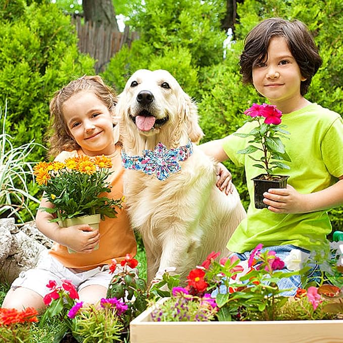 Lionheart Glory Floral Dog Collar with Flowers - Soft, Durable & Adjustable for Small Dogs