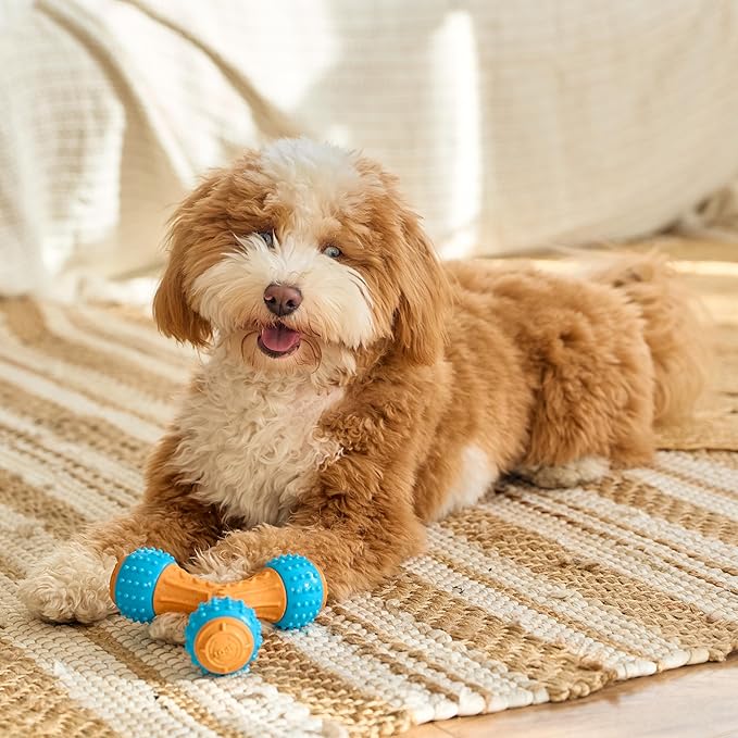 SPOT Bam-Bones PLUS Gigglers Tripod Durable Dog Chew Toy, For Large Aggressive Chewers, Bamboo Fiber & Nylon, Dual Texture, Massaging Rubber Ends, Sounds, Non-Splintering, Peanut Butter Flavor, 6 Inch