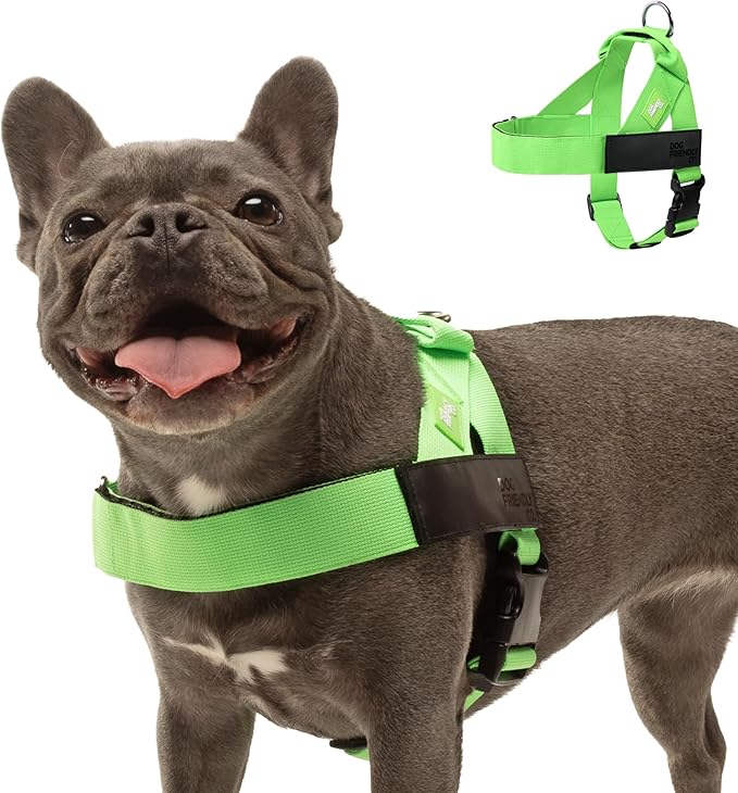DF Co. Dog Harness | Chafe Resistant Webbing, Adjustable Neck & Chest, and Heavy Duty D-Ring | Sturdy, Comfortable, Easy to Use | Neon Green, Size M