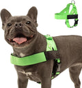 DF Co. Dog Harness | Chafe Resistant Webbing, Adjustable Neck & Chest, and Heavy Duty D-Ring | Sturdy, Comfortable, Easy to Use | Neon Green, Size M