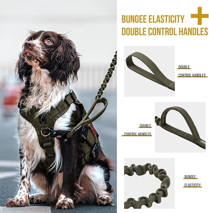 OneTigris Tactical Dog Training Bungee Leash with 2 Control Handle Quick Release Nylon Leads Rope(Ranger Green)