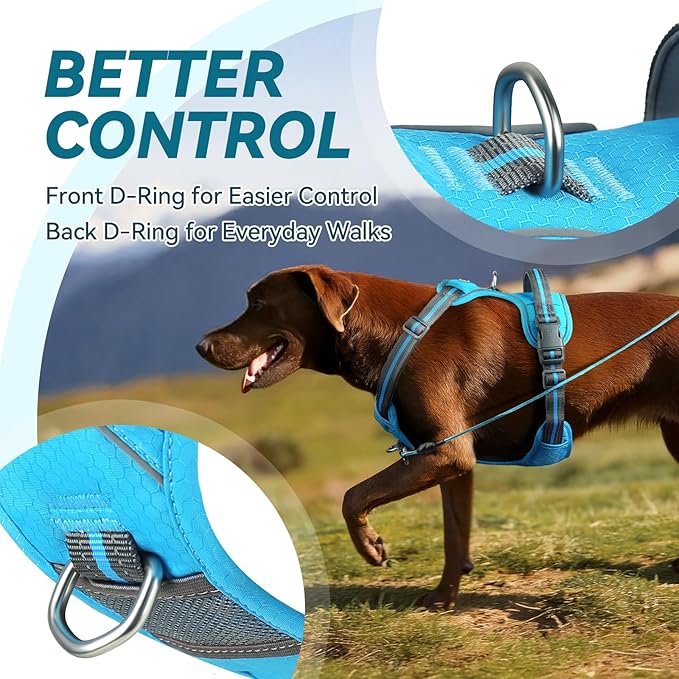 VIVAGLORY Dog Harness Easewalk No Pull Dog Harness with Handle Front Clip & Back Clip for Training Walking Lifting, No Pull Adjustable Easy On Padded Comfortable for Pet, L, Sky Blue - Patterned