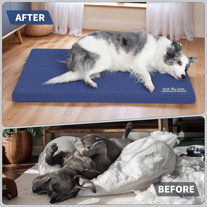 Durable Outdoor Dog Bed Chew Proof Stable Crate Mat Indoor cat Bed Anti Mild Bite Kennel Pad with Removable Fully Waterproof Cover (Blue, Medium(30x19x1.5in))