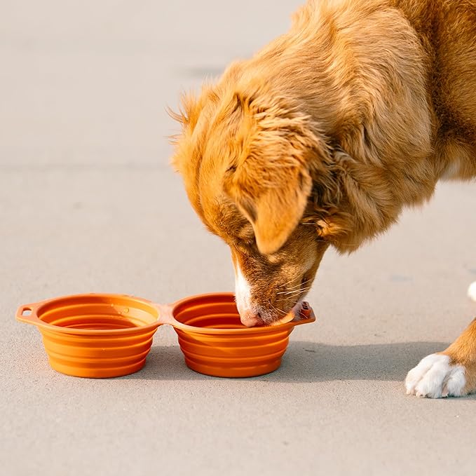 Pup Culture Dual Collapsible Dog Bowls | Silicone Travel Water Bowl for Dogs | Food Grade, No Plastic Rim, Portable Dog Bowl for Food and Water - Easy to Clean | BPA Free and Safe for Your Pup-Black