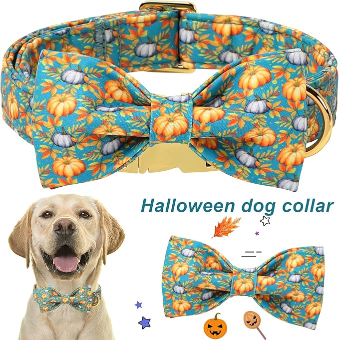 ARING PET Fall Dog Collar with Bow, Halloween Pumpkin Cute Pet Collars with Quick Release Buckle for Puppy Small Medium Large Girl Boy Dogs-L