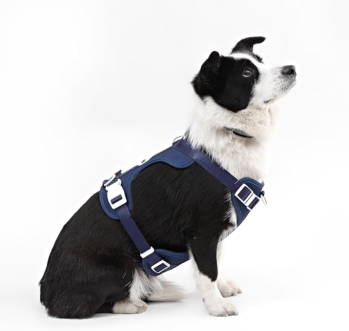 HNS1003J Arlo Large Adjustable Soft Padded No Pull Pet Harness with 3 Buckles and 3 Leash Clips, Highball