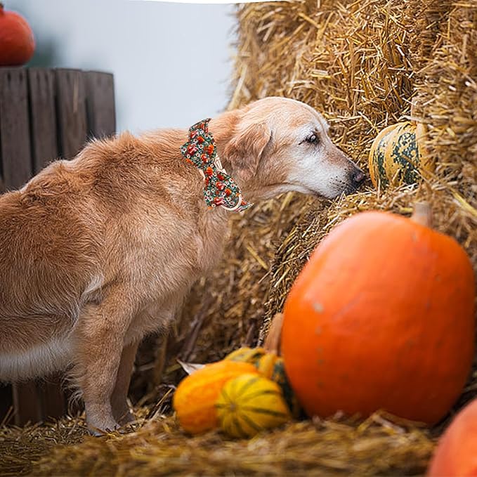 Elegant little tail Fall Dog Collar, Halloween Pet Collars with Bow Cute Flower Pumpkin Print Puppy Collar Female or Male Cotton Adjustable Collars for Small Medium Large Dogs