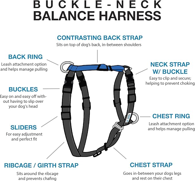 Blue-9 Buckle-Neck Balance Harness, Fully Customizable Fit No-Pull Harness, Ideal for Dog Training and Obedience, Made in The USA, Sky Blue, Small