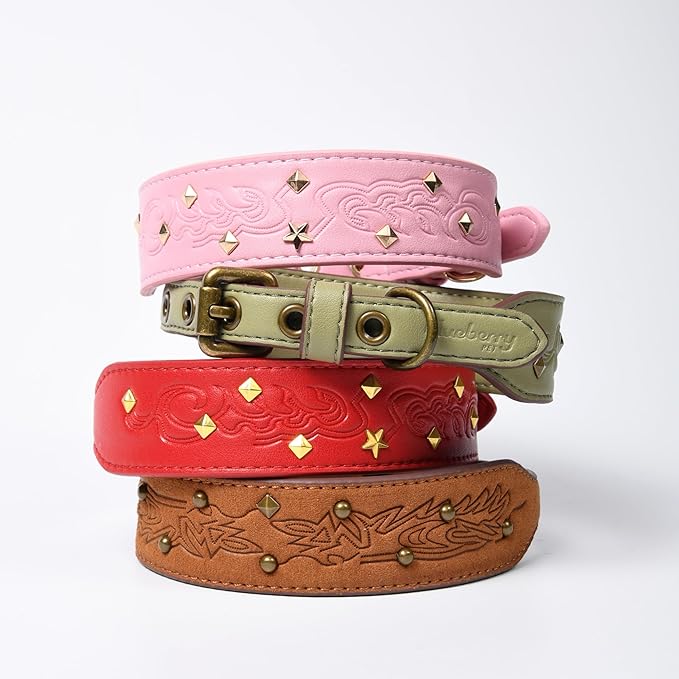 Blueberry Pet Premium Embossed Sage Green Glam Silver-Powered Freshness Microfiber Leather Dog Collar with Antique Brass Studs