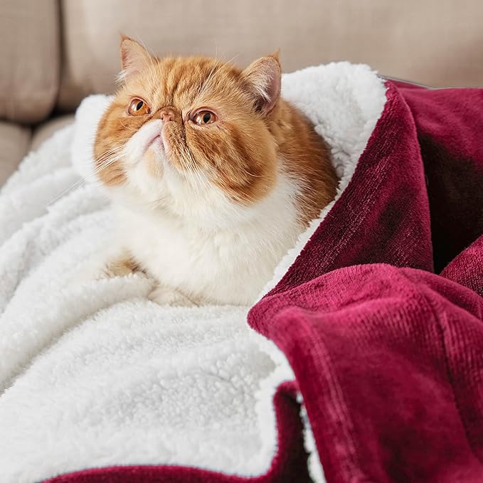 Bedsure GentleSoft Sherpa Fleece Blankets King Size for Bed, Non-Heated, Thick and Warm Throw for Girls and Women, Soft Fuzzy Plush King Blanket for Winter, Red, 108x90 Inches