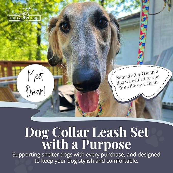 Lucky Love Dog Martingale Dog Collar & Leash - Adjustable, No-Slip, Durable, Comfortable, Soft Webbing, & Stylish Patterned Collar & Leash Set for Male and Female Dogs - Oscar Combo, Large