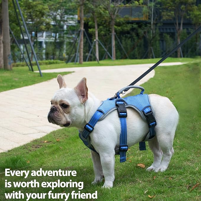 Huntboo Escape Proof Dog Harness, Escape Artist Harness, Reflective Dog Harness with Handle, Durable,Adjustable Vest for Small Medium Large Dogs Walking, Training, and Running Gear(Sea Blue,M)