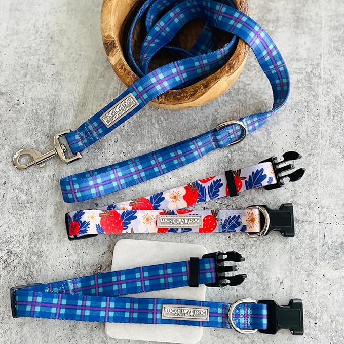 Lucky Love Dog, Blue & Violet Plaid Dog Leash - Comfy & Soft, Cute for Boy & Girl Dogs - Large, Scotty Leash