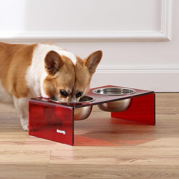 The LICKER Store DBL2000H Keaton 5" Small/Medium Modern Acrylic Rectangular Elevated Pet Feeder with 20oz 2-Stainless Steel Bowls, Red/Chrome