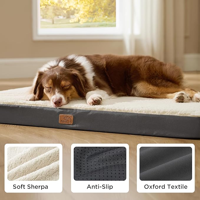 Bedsure 2 PCS Dog Beds Large Sized Dog - Comfy Flat Pet Beds with Removable Washable Cover, Orthopedic Egg Crate Foam Puppy Mat, Suitable for Pet Up to 65 lbs (Pack of 2)