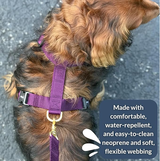 DJANGO Adventure Dog Harness - Stylish, and Durable Medium Dog Harness for Outdoor Adventures and Everyday Wear - Plum Purple Neoprene Adjustable Harness for Dogs with Reflective Piping, Brass D-Ring