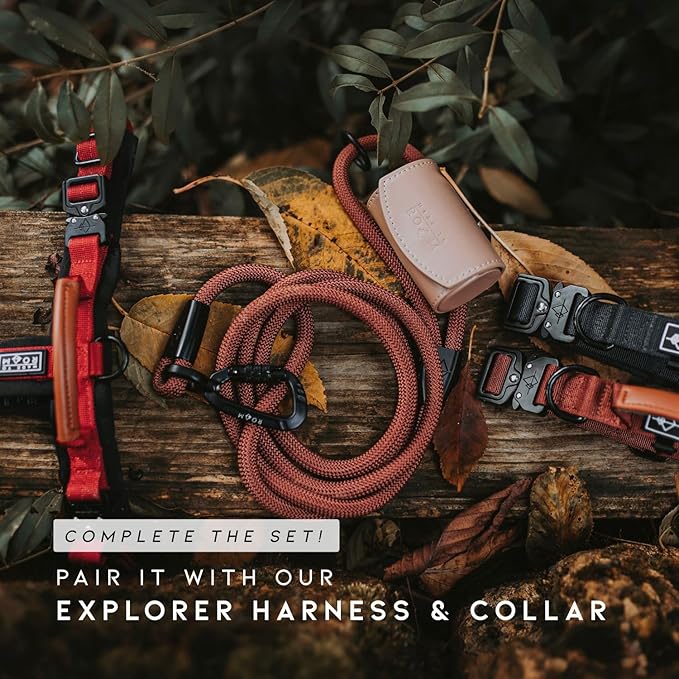 MADE TO ROAM Premium Explorer Leash - Climbing Rope Leash with Autolocking Aviation Aluminum Carabiner - Michigan Autumn, 4ft