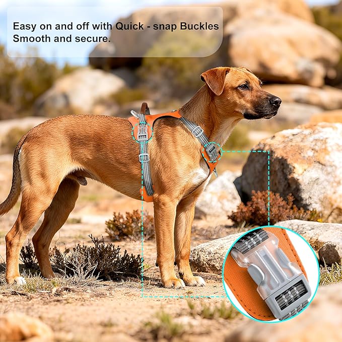 No Pull Dog Harness – Adjustable Reflective Nylon Vest for Small Medium Large Dogs, Escape Proof Training Harness with Leather Control Handle, Lightweight Aluminum Hardware (Orange, S)