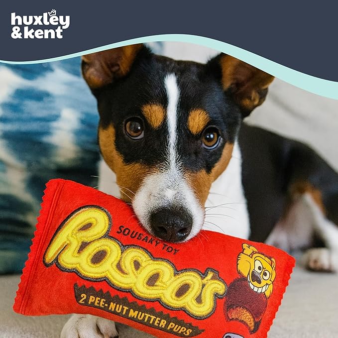 Huxley & Kent Funny Dog Toy w/Squeaker – Power Plush Squeaky Dog Toys for Small, Medium & Large Dogs – Soft Stuffed Animal for Indoor Play & Fetch - Roscos, Large