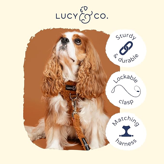 Lucy & Co. 5 Foot Dog Leash - Best Designer Leashes for Dogs, Puppy Accessories Supplies (Large, Teddy Brown), The Cinnamon Teddy Leash