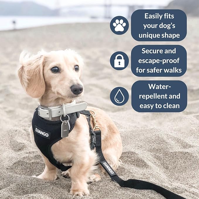 DJANGO Adventure Dog Harness - Stylish and Comfortable Large Dog Harness for Outdoor Adventures and Everyday Wear - Black Neoprene Adjustable Harness for Dogs with Reflective Piping and Brass D-Ring