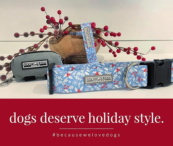 Lucky Love Dog Martingale Dog Collar & Leash - Adjustable, No-Slip, Durable, Comfortable, Soft Webbing, & Stylish Patterned Collar & Leash Set for Male and Female Dogs - Winterblue Combo, Small