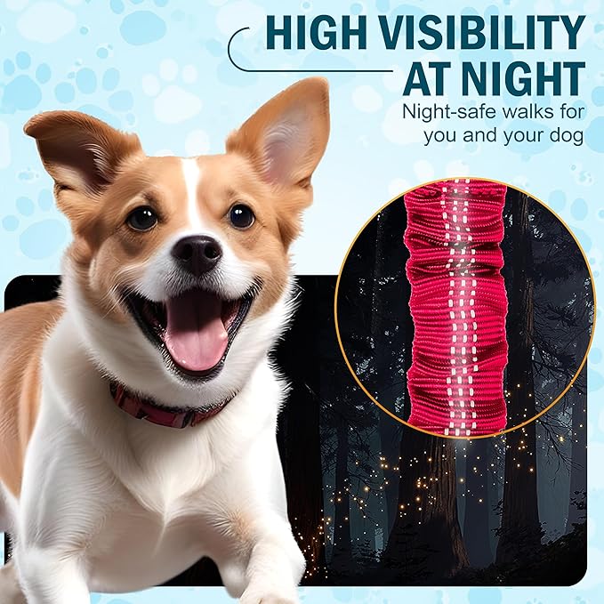 Hands Free Dog Leash with Waist Belt – No-Pull Bungee, Dual Padded Handles & Zipper Pouch for Running, Walking & Training – Adjustable Waist Leash for Large & Medium Dogs