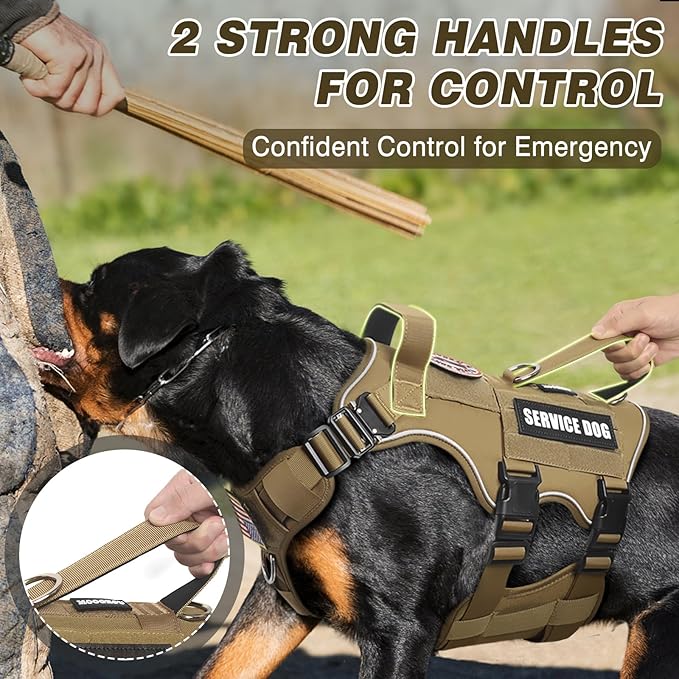 Service Dog Vest and Leash Set,Heavy Duty Tactical Dog Harness with Metal Buckles for Large Dogs,Adjustable No-Pull Dog Harness with 10 Patches,for Training Working,Brown XL