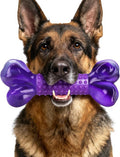 Dog Toys for Aggressive Chewers: Indestructible Dog Chew Toys for Medium & Large Dogs, Tough Bacon Flavored Nylon Bone to Keeps Them Busy