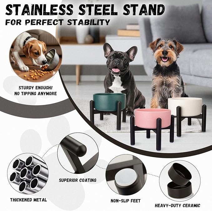 Raised Ceramic Dog Bowl - Elevated Food Water Dish with Stainless Steel Stand - for Small to Medium Dogs - 6 Inch - 2 Cups (28.75 fl oz) - White