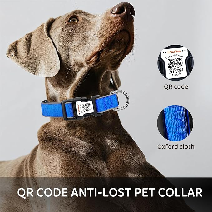 Reflective Dog Collar with QR Code Tag, Personalized Dog Collar, Safety Night Visibility, Anti-Loss Function (Blue-02, Small)