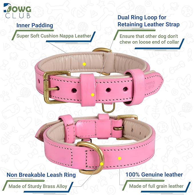 Leather Dog Collar for Small Dogs, Light Pink, .75 Inch Wide, Genuine Leather, Heavy Duty with Soft Inner Padding, Comfortable and Durable | (Blush Pink, Small (Fit Neck Size 11.5"-14.5"))