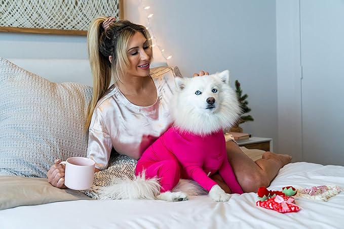 Shed Defender Original Dog Onesie for Dog Shedding, Seen on Shark Tank, Lightweight Breathable, Bodysuit for Dogs, Recovery Suit, Jumpsuit, Dog Body Suit, Shed Shirt, Post Surgery Onesie, Vet Approved