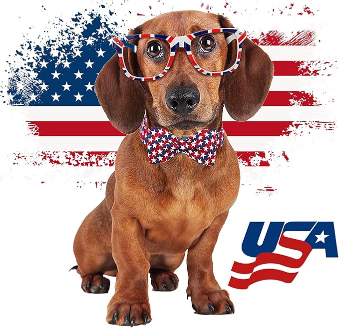 Lionheart glory American Flag Dog Collar 4 of July Independence Patriotic Dog Bow Collars Heavy Duty Adjustable Soft Collar with Bowtie for Medium Dogs Pet Gift