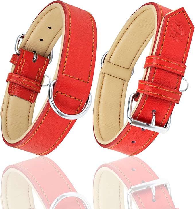 Riparo Red Leather Dog Collar - Heavy Duty Wide Dog Collar for Small, Medium, Large and Extra Large Dogs with Dog Tag Holder (XXL: 2” Wide for 26”-29” Neck, Red)