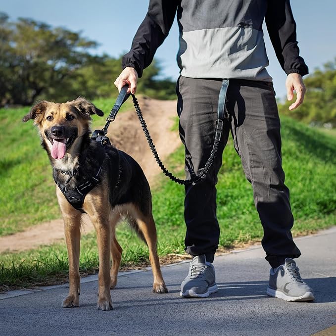 Waist Leash for Dog Walking, Running Leash for Dogs with Metal Quick-Release Buckle, Shock-Absorbing Rope Bungee, Neoprene Lumbar Support - Comfortable Hands Free Control for Daily Walks