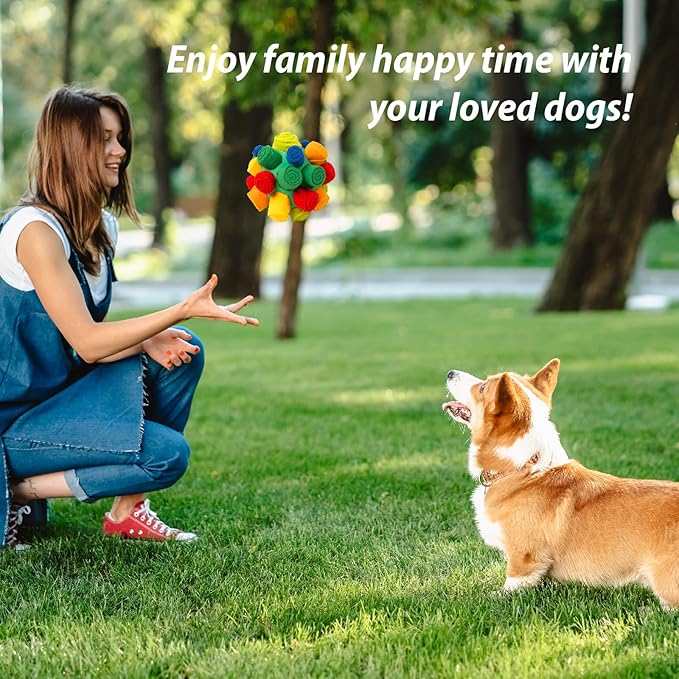 PAWISE Snuffle Ball for Dogs, Sniffle Treat Puzzle Toy, Dog Snuffle Balls, Snuffle Toy, Machine Washable, Foraging Sniffle Treat Ball for Puppies and Boredom Relief (Red Rainbow) (Medium)