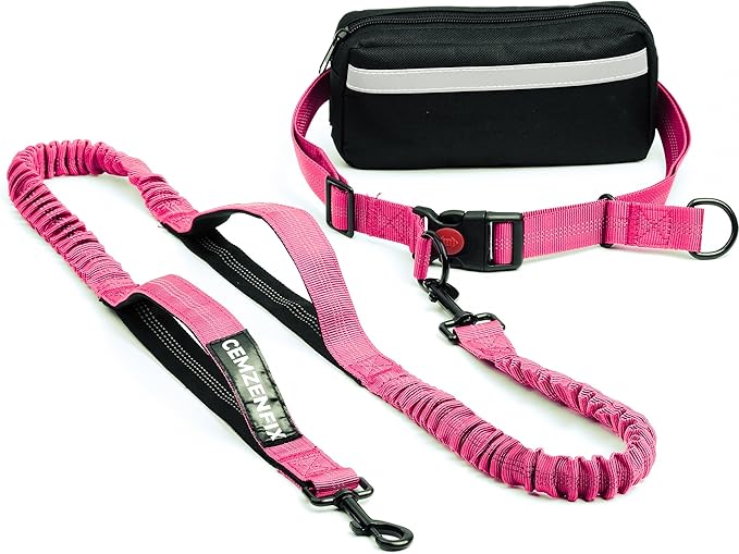 Hands Free Dog Leash with Waist Belt – No-Pull Bungee, Dual Padded Handles & Zipper Pouch for Running, Walking & Training – Adjustable Waist Leash for Large & Medium Dogs